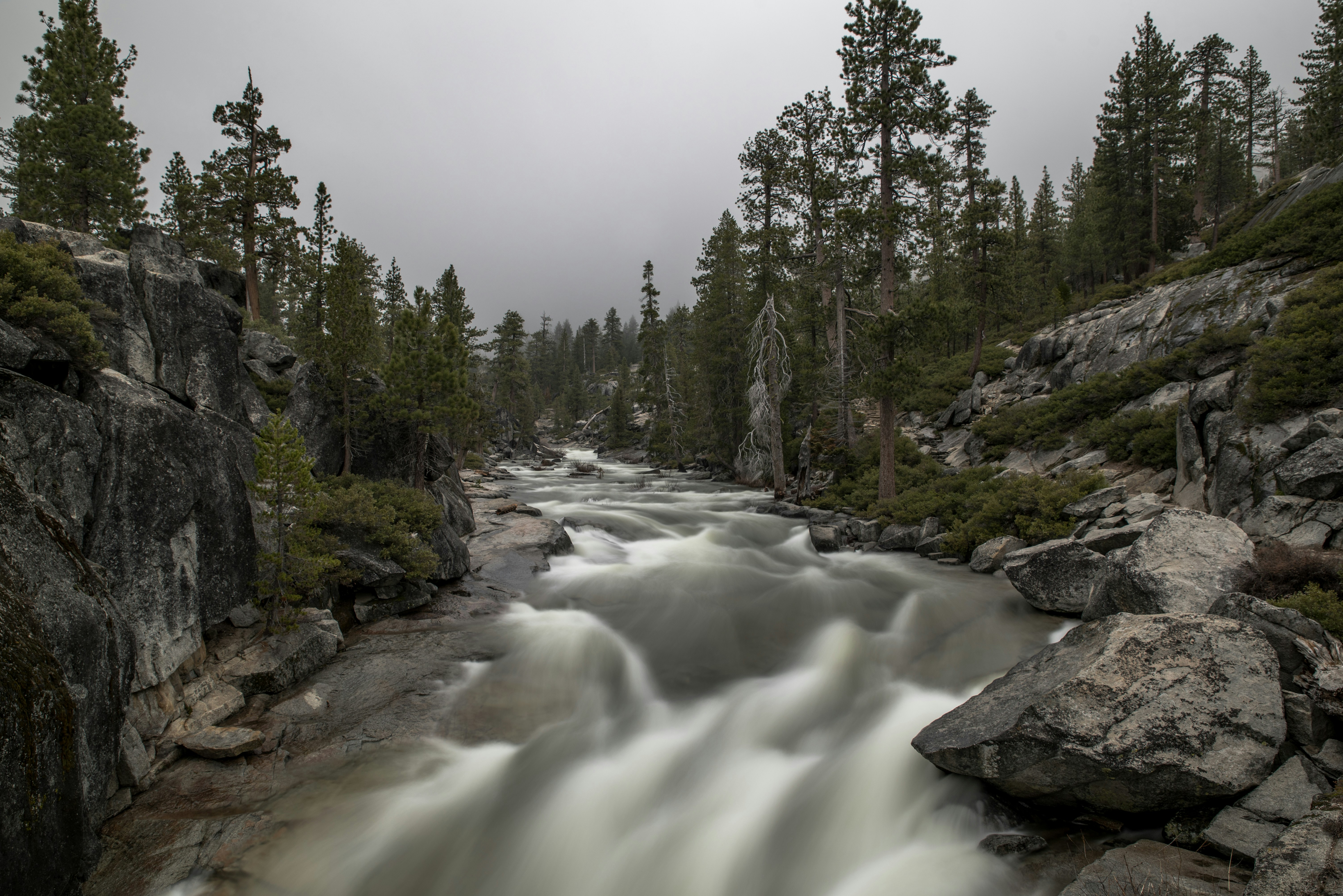 Photo by mischievous_penguins