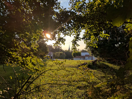 Sunlight filtering through the trees at Fazenda Passos SDA church grounds in Rolante, Brazil.