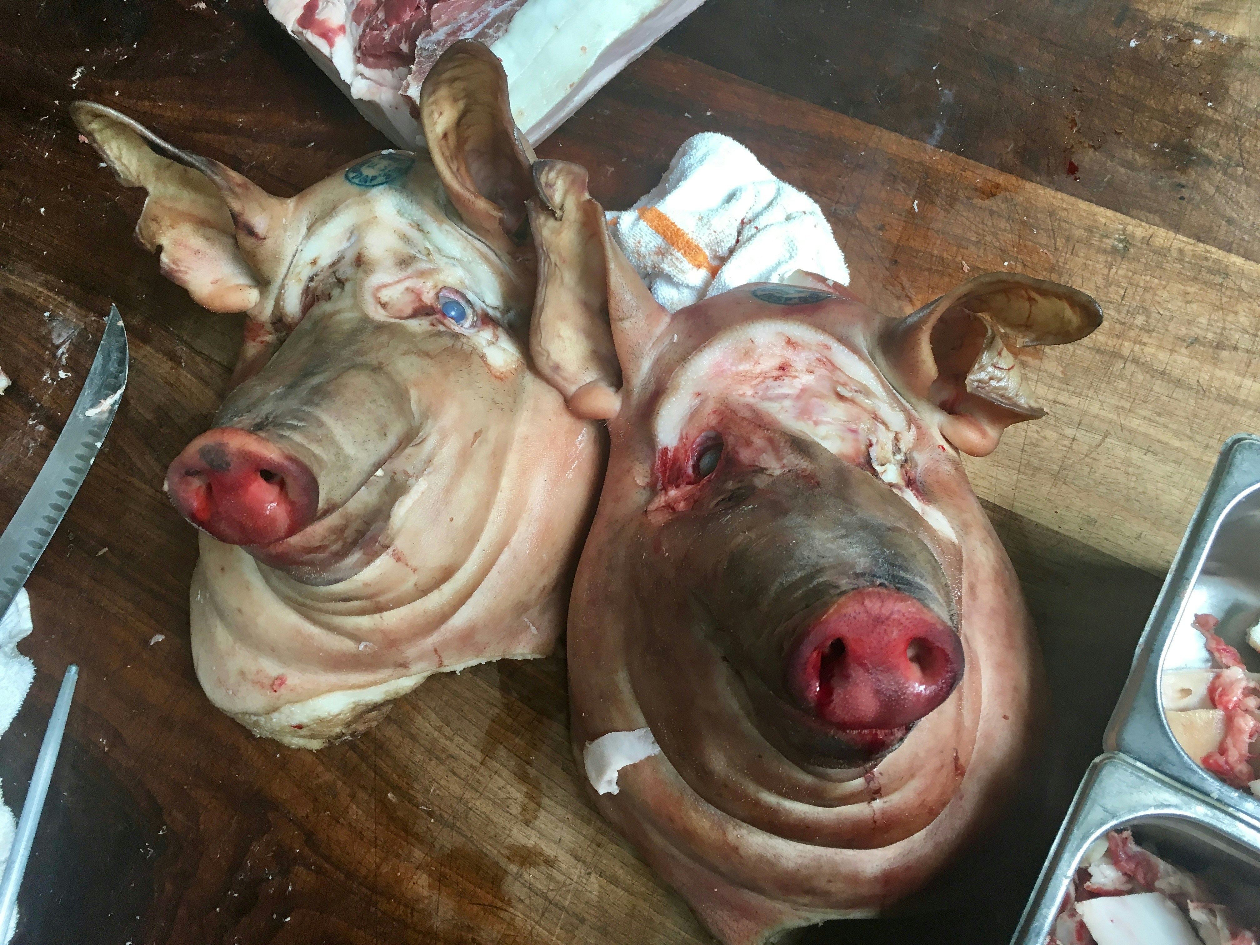 The Jeffrey Dahmer Case: Inside a Cannibal’s Mind