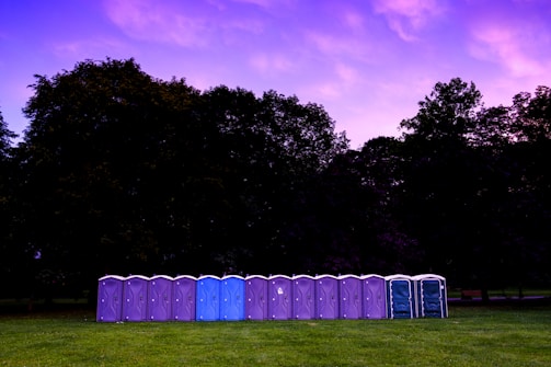 A row of portable toilets stands on a grassy field with a backdrop of large trees. The sky above is filled with vibrant colors from a sunset or sunrise, featuring shades of purple and pink.