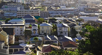 A densely packed residential area with a variety of houses surrounded by greenery, set against a backdrop of taller buildings and urban infrastructure. The scene includes modern architecture with colorful rooftops and a mix of older colonial-style houses.