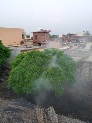 A heat map showing temperature reduction in an urban area after tree plantation.