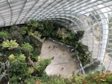 An indoor garden with abundant greenery, featuring a variety of lush plants and trees under a large glass dome ceiling. People are walking around on a concrete pathway below, surrounded by vibrant plants. The architecture includes expansive windows, allowing in natural light.