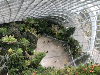 An indoor garden with abundant greenery, featuring a variety of lush plants and trees under a large glass dome ceiling. People are walking around on a concrete pathway below, surrounded by vibrant plants. The architecture includes expansive windows, allowing in natural light.
