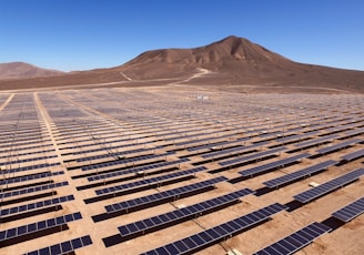 landscape photography of blue solar panels