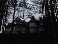 A large, multi-story house with a castle-like design and conical roofs is partially obscured by tall, slender trees. The structure appears to be old and has an eerie, mysterious ambiance.
