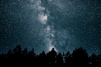 milky way at night