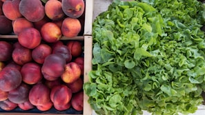 Natural wood-wool cushioning enveloping creamy hass avocados inside a midnight blue crate, highlighting temperature regulation.