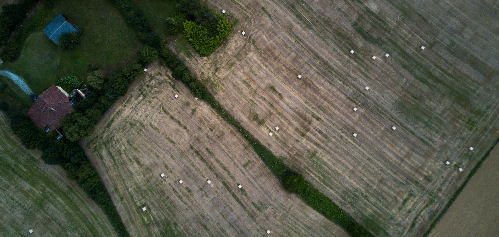 Aerial view of farmland with a house