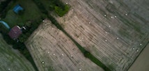 An aerial view of agricultural fields with visible patches of green grass and numerous hay bales scattered across the brownish, harvested areas. A small house with a reddish roof is nestled among trees, surrounded by verdant vegetation.