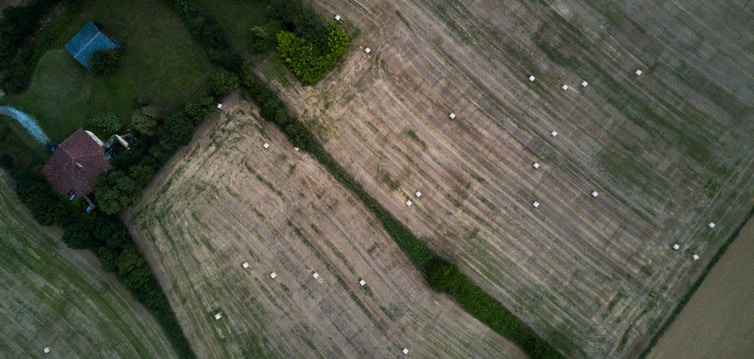 An aerial view of agricultural fields with visible patches of green grass and numerous hay bales scattered across the brownish, harvested areas. A small house with a reddish roof is nestled among trees, surrounded by verdant vegetation.