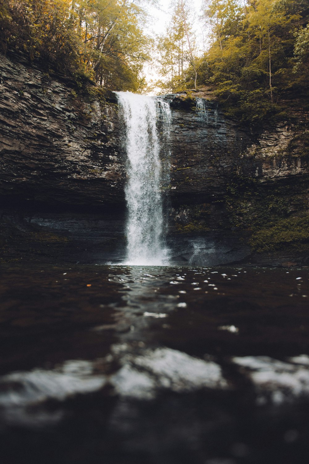 waterfalls surrounded with trees