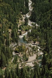 Aerial view of a forested area with a river, symbolizing environmental licensing.