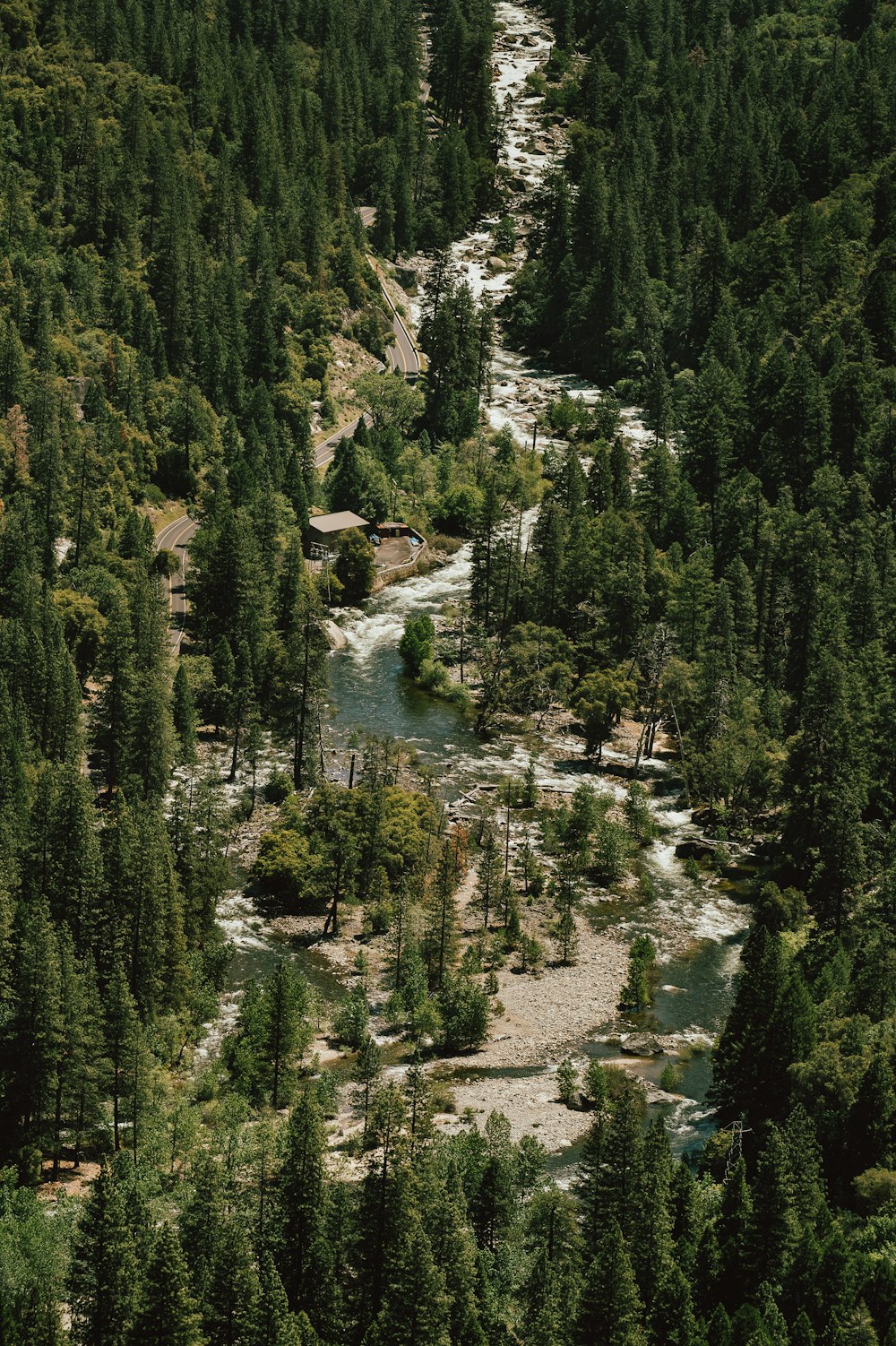 rio entre árvores