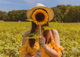 woman holding covering her face with sunflower at the field near trees during day