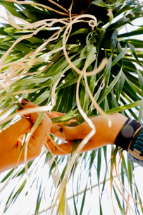 Hands arranging vibrant materials on a table, capturing the essence of hands-on craftsmanship.
