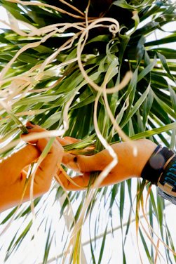 An intimate close-up of a hand delicately arranging fresh green leaves on a textured natural fabric.