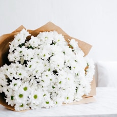 selective focus photography of bouquet of white flowers