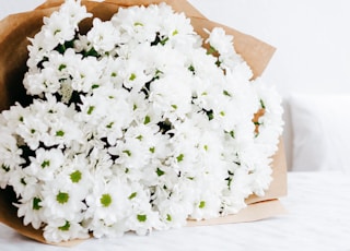 selective focus photography of bouquet of white flowers