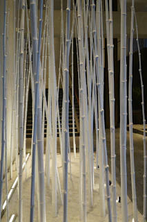 A serene installation piece blending natural wood and soft lighting in a gallery space.