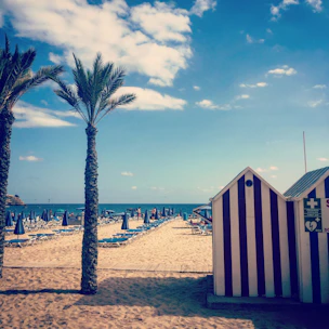 Sunlit beach with rows of colorful umbrellas and loungers on golden sand by the sea.
