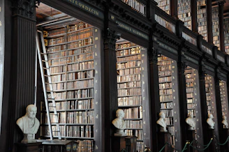 a library filled with lots of books and busturines