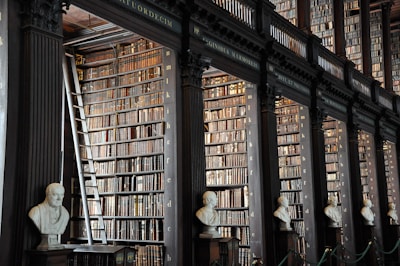 a library filled with lots of books and busturines