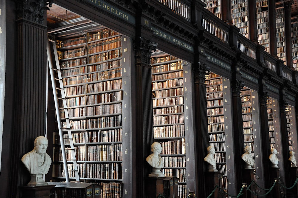 uma biblioteca cheia de livros e busturinas