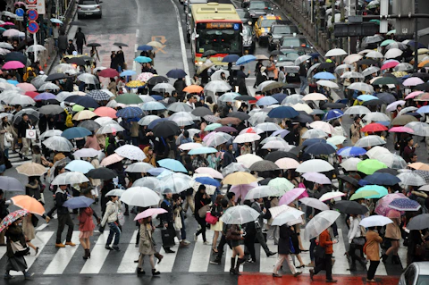 large crowd of people using umbrellas while crossing on road