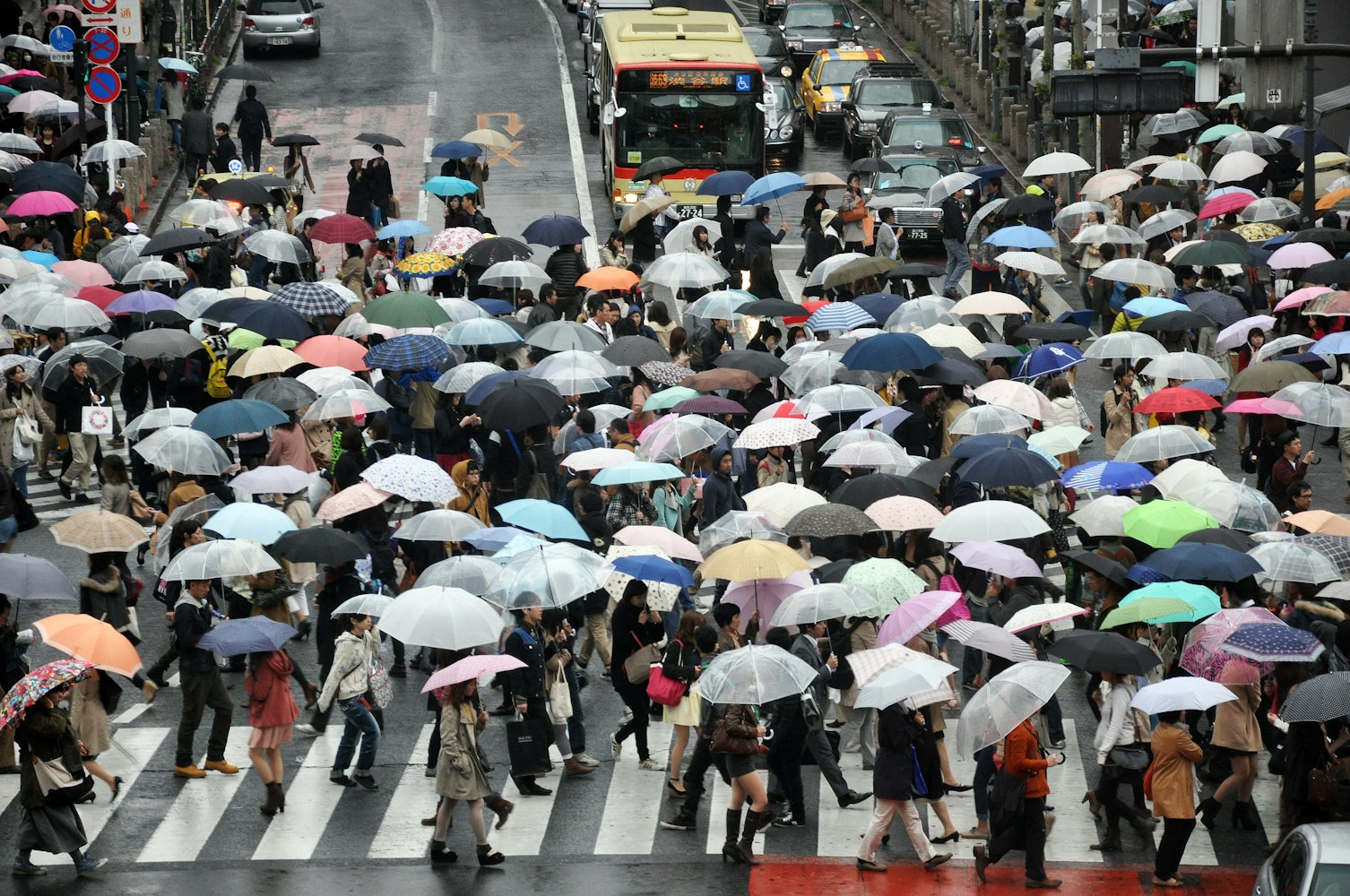 people with umbrella