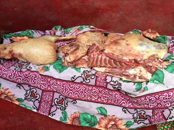 Large pieces of raw meat, including a leg and rib section, are placed on a colorful patterned cloth with floral and abstract designs. The background consists of a solid red wall.