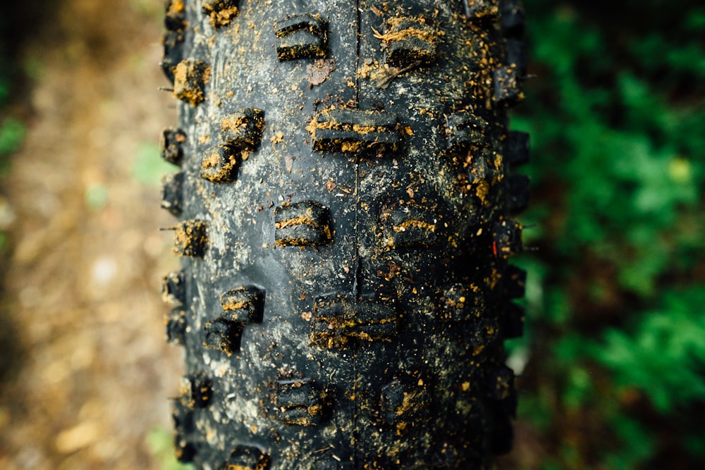 motorcycle tire