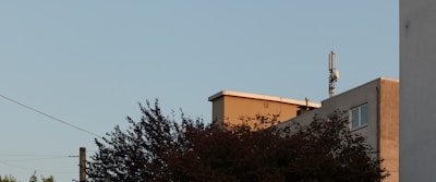 A cityscape features a portion of a building with telecommunications equipment on the roof. In the foreground, tree foliage partially obscures the view. The background reveals a clear blue sky, suggesting a calm setting.