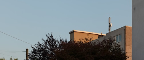 A cityscape features a portion of a building with telecommunications equipment on the roof. In the foreground, tree foliage partially obscures the view. The background reveals a clear blue sky, suggesting a calm setting.
