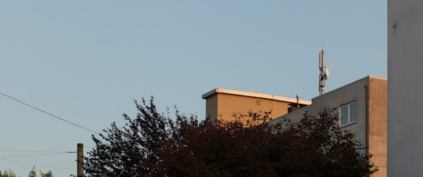 A cityscape features a portion of a building with telecommunications equipment on the roof. In the foreground, tree foliage partially obscures the view. The background reveals a clear blue sky, suggesting a calm setting.