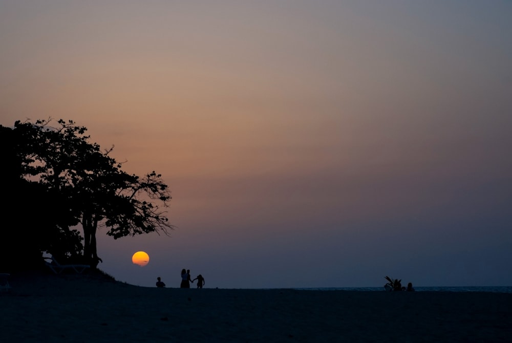 Silueta de personas y árbol durante la puesta del sol