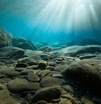 rocks on sea bed