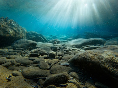 rocks on sea bed underwater teams background