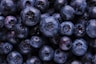 blueberry fruits
