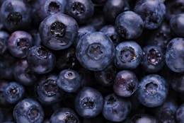 blueberry fruits