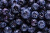Quercetin plant