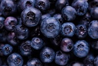 blueberry fruits