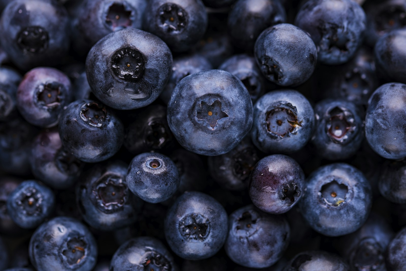 Sigma 105mm F2.8 EX DG OS HSM sample photo. Blueberry fruits photography