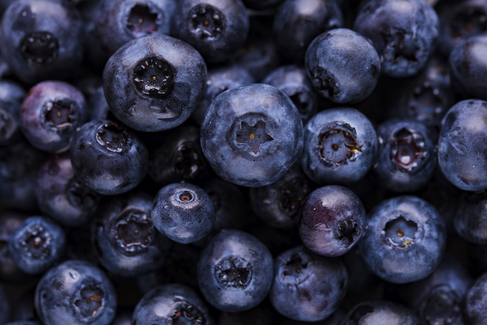 blueberry fruits