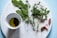 A marble surface features a small bowl of olive oil and balsamic vinegar, surrounded by a variety of fresh herbs including sage, thyme, and oregano. Garlic cloves are arranged artistically beside the bowl. The background is a soft blue color, complementing the fresh and natural theme.