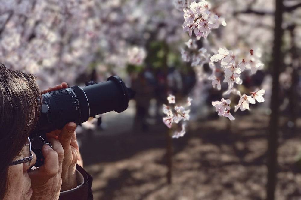 shallow focus photography of white flowers during daytime