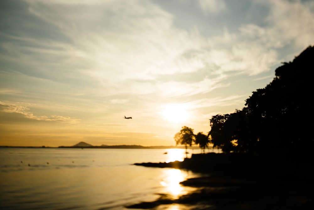 airplane during sunset