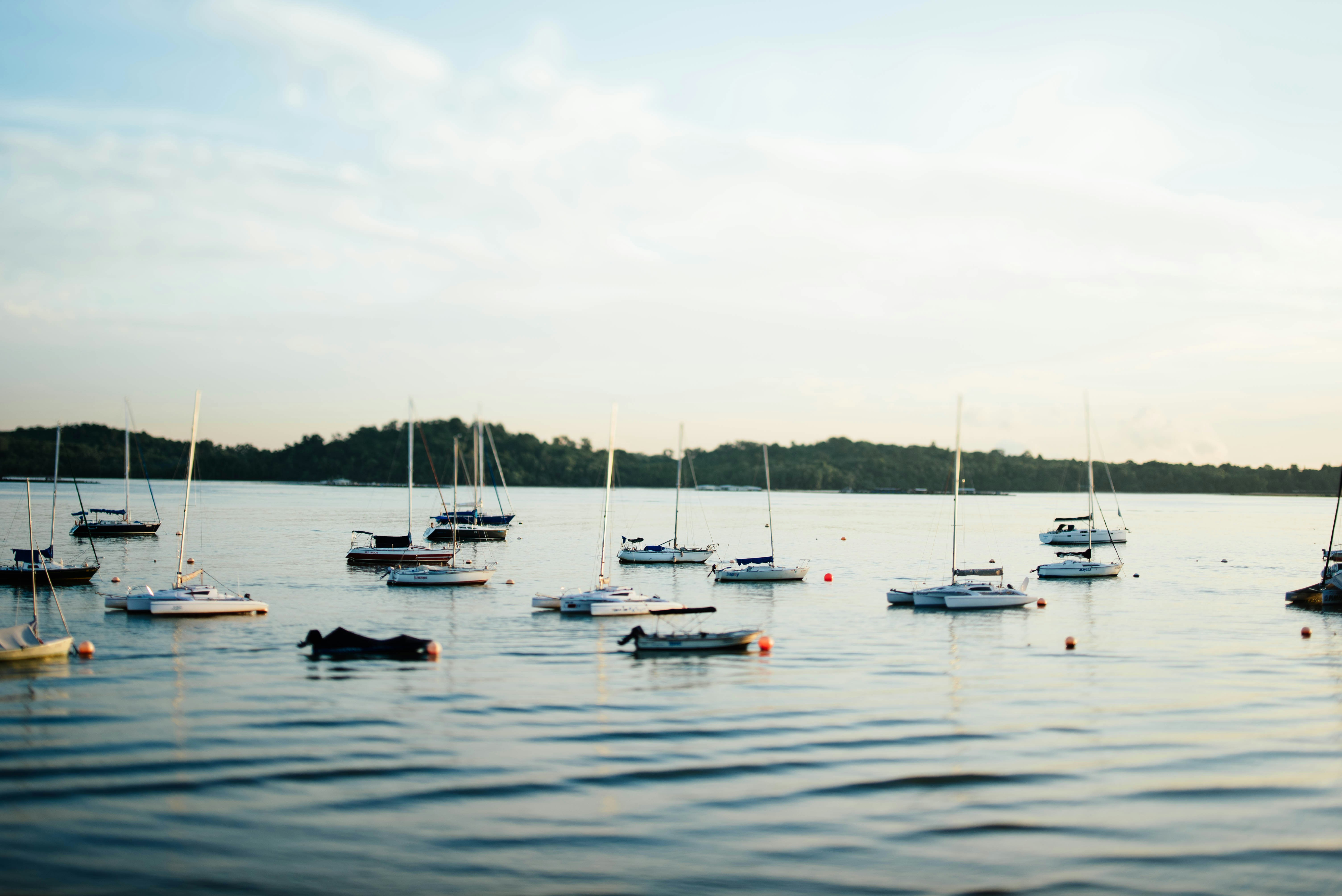 Photo by chuttersnap