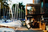 A marina displays several small sailboats neatly arranged on a dock, with their masts reaching skyward. The side of a wooden building is visible on the right, adorned with shelves and marine equipment, including life jackets and a lifebuoy. Green foliage surrounds the area, contributing to a serene atmosphere.