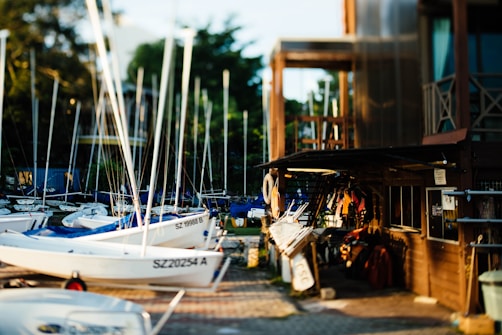 A marina displays several small sailboats neatly arranged on a dock, with their masts reaching skyward. The side of a wooden building is visible on the right, adorned with shelves and marine equipment, including life jackets and a lifebuoy. Green foliage surrounds the area, contributing to a serene atmosphere.
